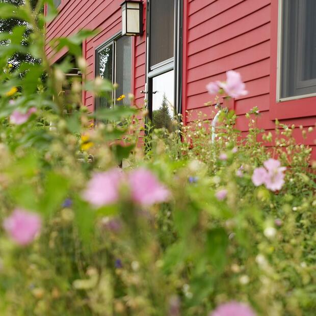 side view of a red home surrounded by colorful wildflowers and greenery