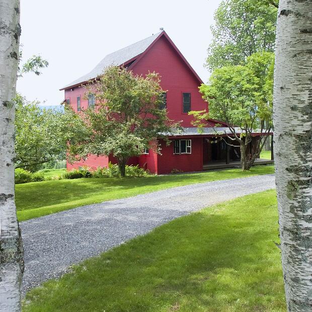 tall red house framed by birch trees and lush greenery on a summer day