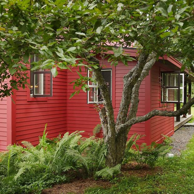 red house surrounded by lush greenery and a tree