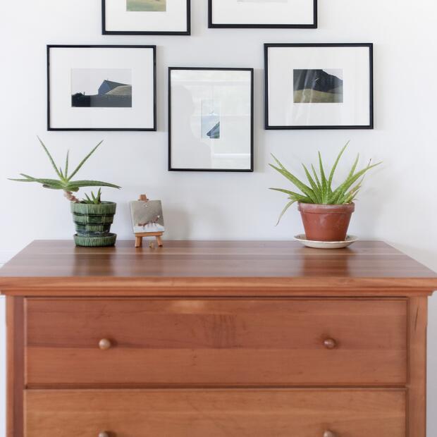 wood dresser with framed wall art and aloe plants in a modern bedroom