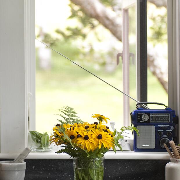 vase of yellow flowers on a kitchen counter